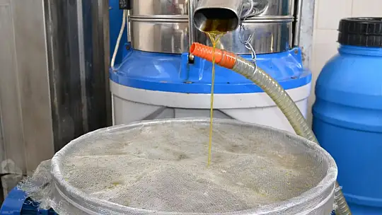 Zeytinyağının fiyatı artıyor