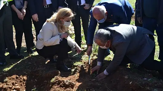 Fethiye'de Endemik Bitkiler Müzesi kurulacak