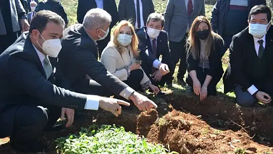 Fethiye'de Endemik Bitkiler Müzesi kurulacak