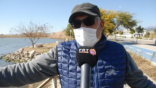 Yabani hayat şehrin içinde