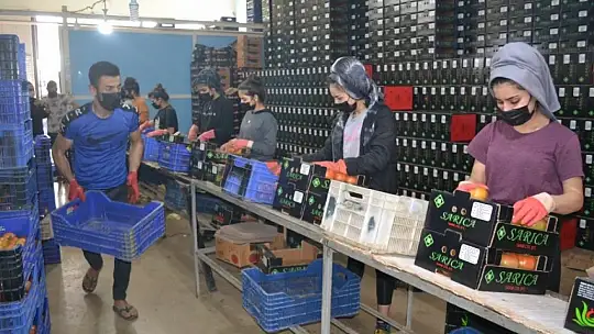 Akgün, üreticimiz fiyattan memnun