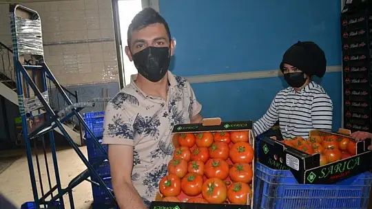 Akgün, üreticimiz fiyattan memnun