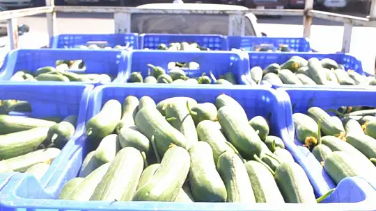 Çiftçi Selçuk Gebeş, 'Artık çiftçi son nefesinde, çiftçilik ölüyor'