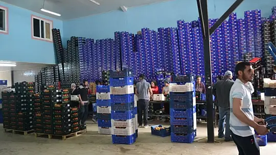 Akgün, üreticimiz fiyattan memnun