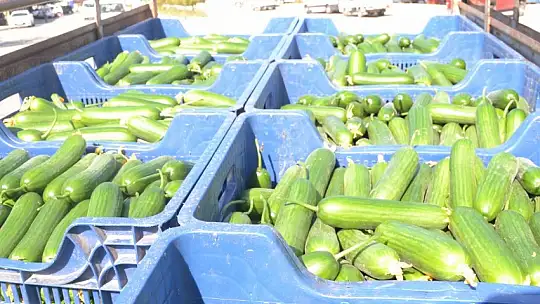 Çiftçi Selçuk Gebeş, 'Artık çiftçi son nefesinde, çiftçilik ölüyor'
