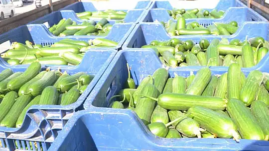 Çiftçi Selçuk Gebeş, 'Artık çiftçi son nefesinde, çiftçilik ölüyor'