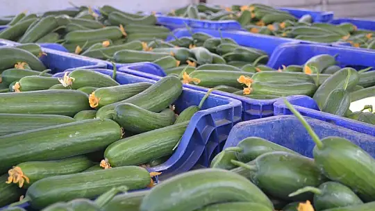 Çiftçi Selçuk Gebeş, 'Artık çiftçi son nefesinde, çiftçilik ölüyor'