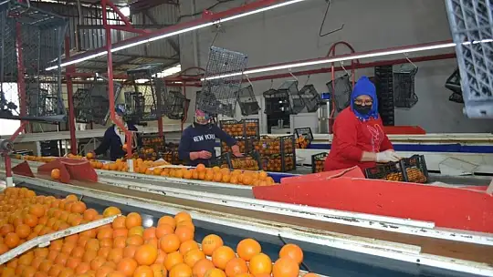 Akgün, üreticimiz fiyattan memnun