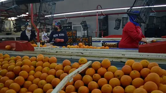 Akgün, üreticimiz fiyattan memnun