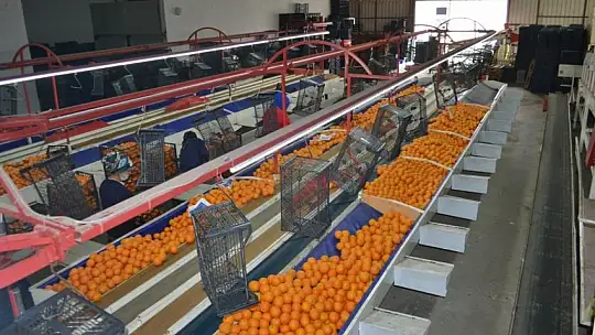 Akgün, üreticimiz fiyattan memnun