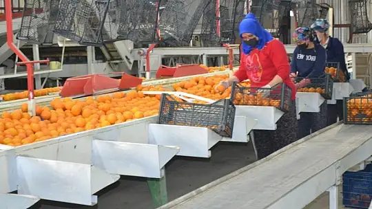 Akgün, üreticimiz fiyattan memnun