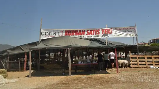 Çarıklı Kasap hayvan pazarında yerini aldı