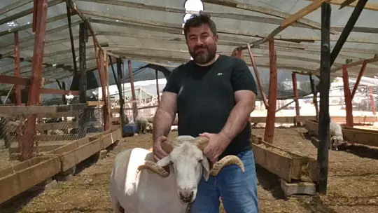 Çarıklı Kasap hayvan pazarında yerini aldı