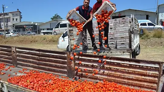 Domatesin kasası 1 TL