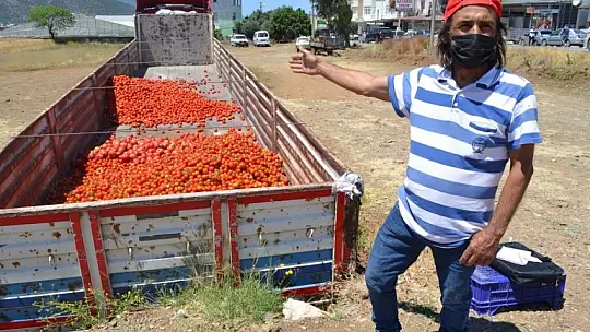 Domatesin kasası 1 TL