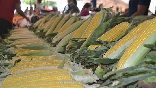 Salı Pazarı ucuz mu, pahalı mı?