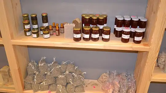 Kooperatif Başkanı Karaca, 'Kadınların hizmet üretmesini hedefliyoruz'