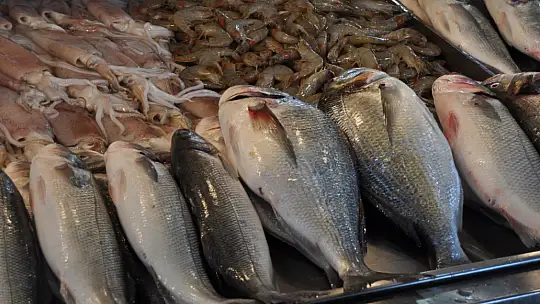 Vatandaşın Tercihi Küçük Balıklar Oldu