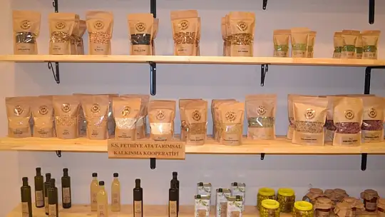 Kooperatif Başkanı Karaca, 'Kadınların hizmet üretmesini hedefliyoruz'