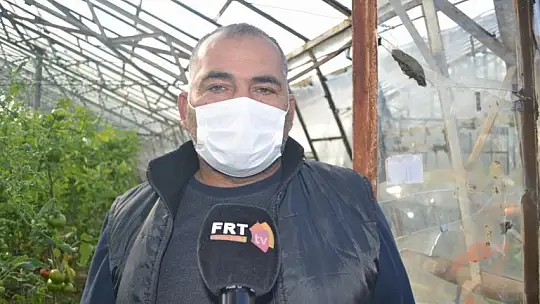 'Domates tarım ilacı değil, şifadır'!