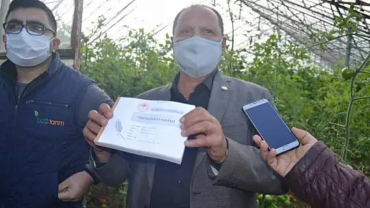 'Domates tarım ilacı değil, şifadır'!