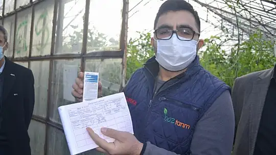 'Domates tarım ilacı değil, şifadır'!