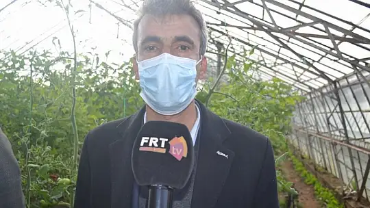 'Domates tarım ilacı değil, şifadır'!