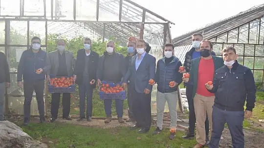 'Domates tarım ilacı değil, şifadır'!