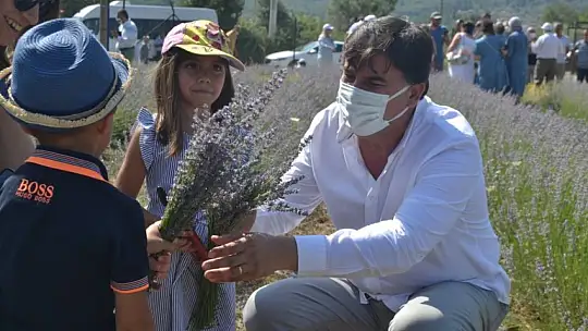 Fethiye'nin Koku Vadisi'nde ilk hasat