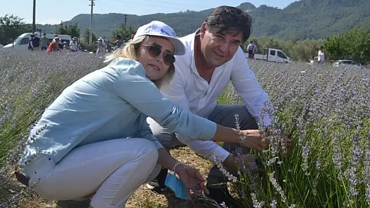 Fethiye'nin Koku Vadisi'nde ilk hasat