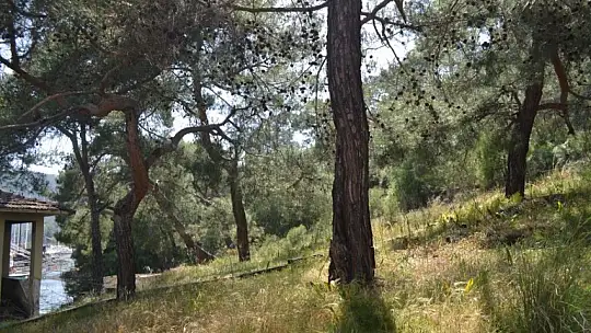 Konuşulan ihale iptal 