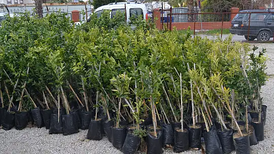 Saylak'tan Birlik Mesajı