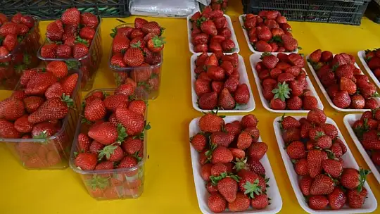 Çilek geçen yılın fiyatları ile satılıyor 