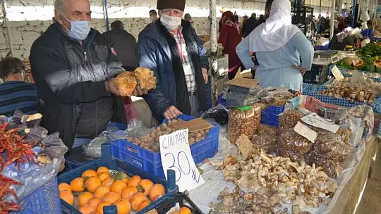Şimdi Çıntar Zamanı