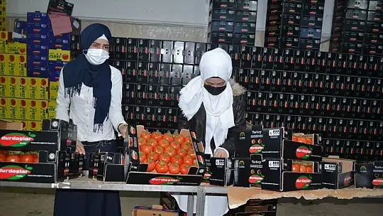 Toptancı halinde son durum ne?