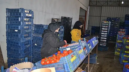 Toptancı halinde son durum ne?