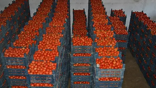 Toptancı halinde son durum ne?