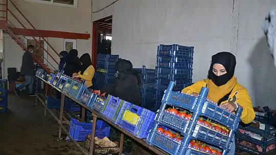 Toptancı halinde son durum ne?