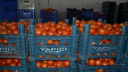 Toptancı halinde son durum ne?