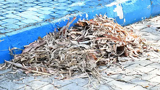 İnlice Plajı Kaderine Terk Edildi 