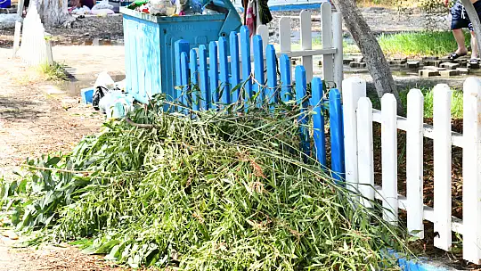 İnlice Plajı Kaderine Terk Edildi 