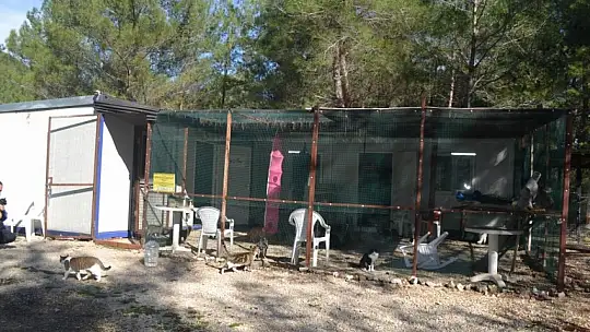 Gönüllülerden örnek davranış