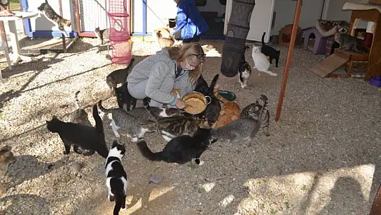 Gönüllülerden örnek davranış