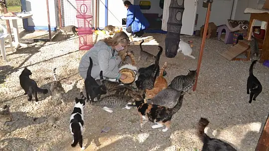 Gönüllülerden örnek davranış