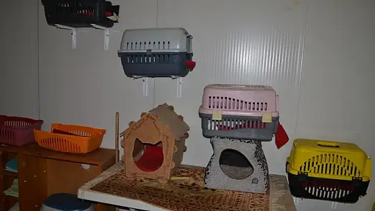 Gönüllülerden örnek davranış