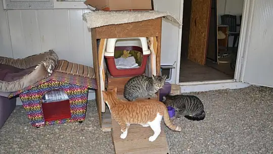 Gönüllülerden örnek davranış