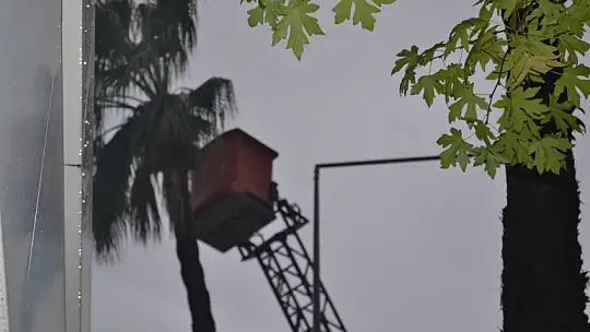 Yağmur altında budama çalışması yapıldı