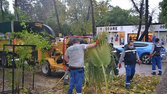 Yağmur altında budama çalışması yapıldı