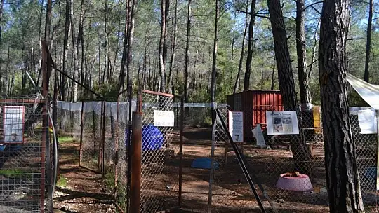 Gönüllülerden örnek davranış