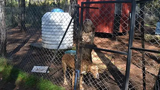 Gönüllülerden örnek davranış